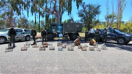 96c4a8cef40ababc34a2d62e35f80768_M