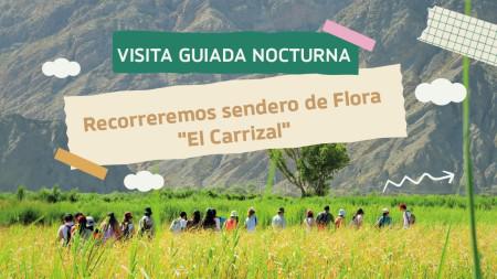 67c4c43d16841d0238453db20ae723ae_M