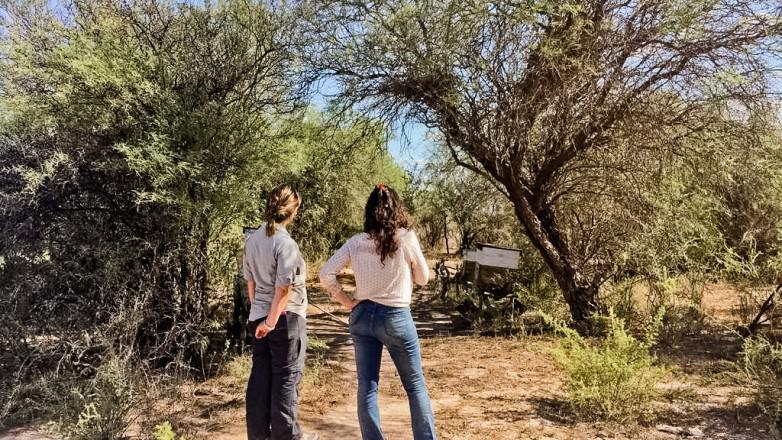 e7d919c45b3e25810d5378a1d86e3f5a_L