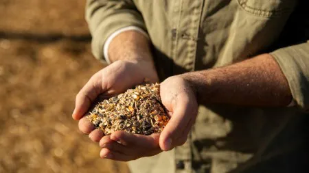 888b929cec493df7a9ddf1ba48b0659b_M