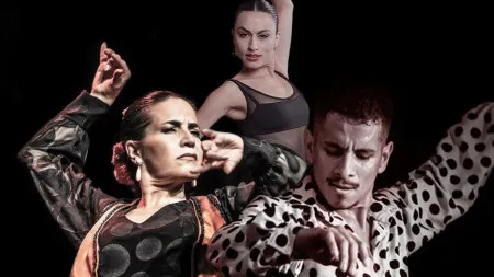 bd7bd7263753a3968d498ad216736983_M