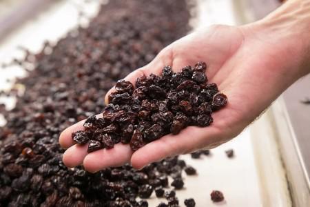 0a280af316d0819175396acd96c27433_M