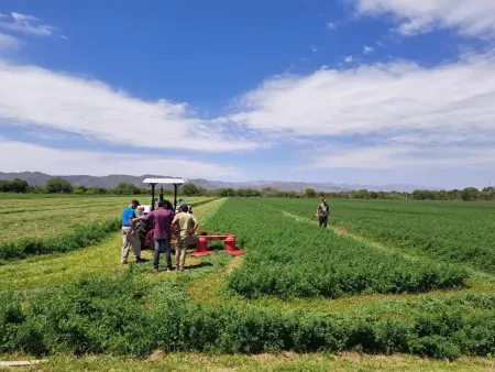 f7c83b27d6ed031f399eae3096f5adca_M