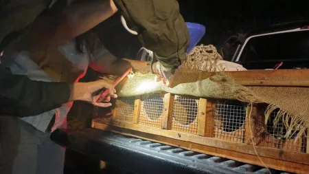 3b4c055aa9ac1c1fd374b568e1c50738_M