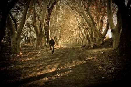 1c181bcbeacd4c990e51200d44be5b85_M