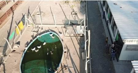 05f8b89d5aca689eb4c8ff06fb69be69_M