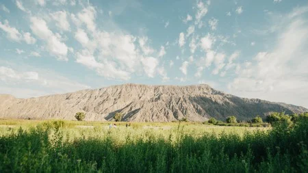 9adc136d1421041450f1c6a974fa6882_M