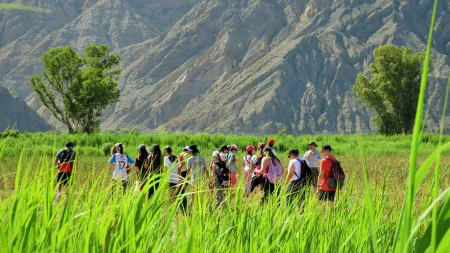 f6d709e65e14fd1c425373d7a8c99821_M