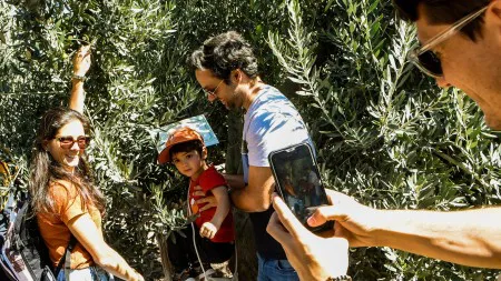 35bb3443454ca20e27807bc902a6b3df_M