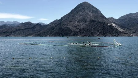 6484883368a74c52919b0c0cfa79de56_M