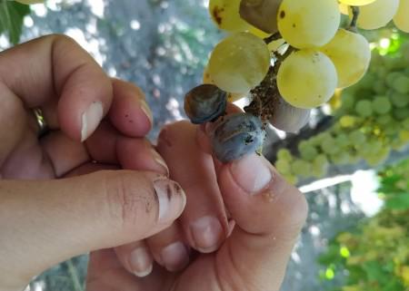 8cef5b396fe73daa9418c9213d90e88c_M