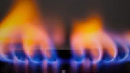 7ab8bb88bcb372ddf53ba97972aebd17_M