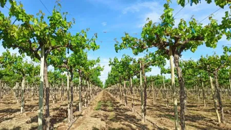 feae9fadb700d88627a92b2ec1081222_M