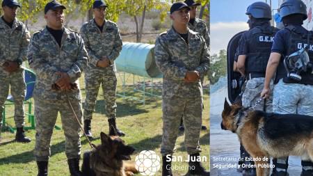 34245bbc6e24bf1658c95300855ee41e_M