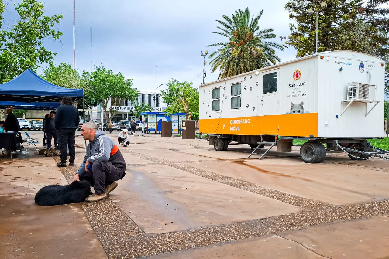 IMG-20241008-WA0235(1)