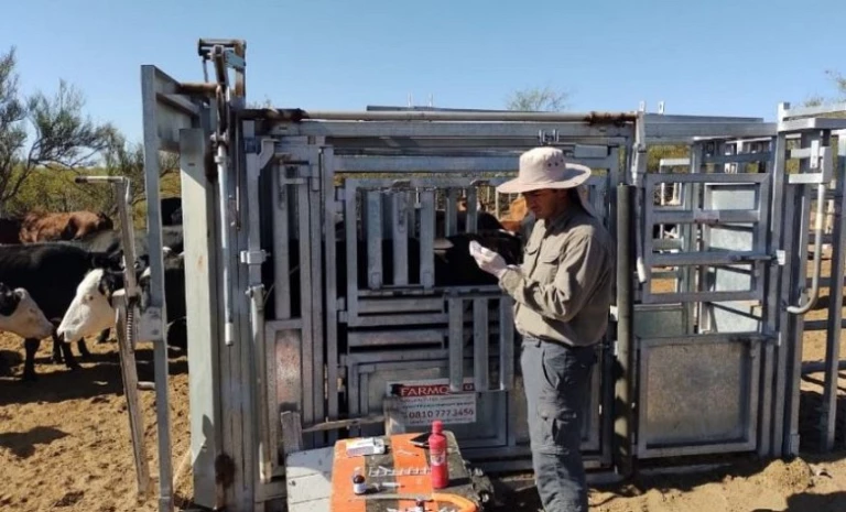 659309ad3041d83ffbaf11541d546317_L