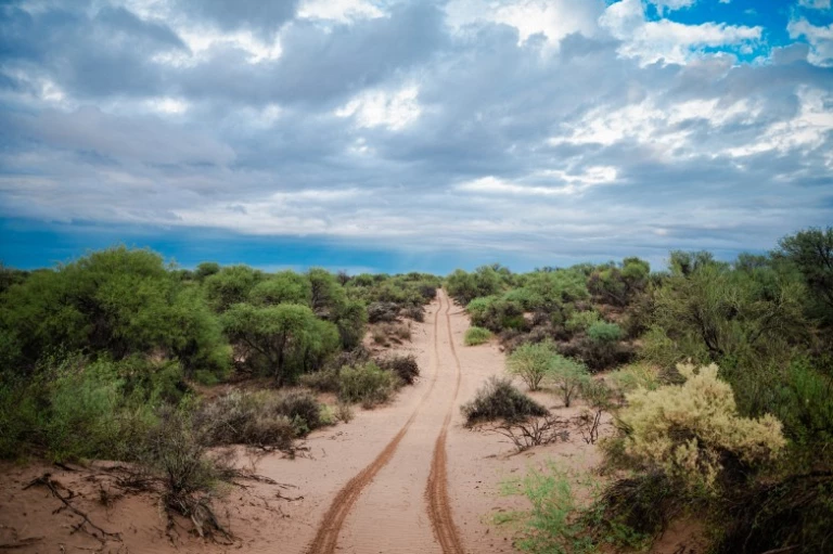 cfd057c6832556b0895753d4614bc673_L