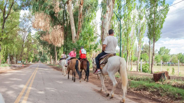 c4a4d5c41f057c6cd75d9376fe1cc332_L