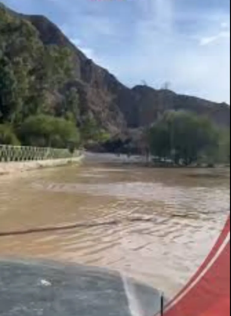 Screenshot_20250110_093219_Chrome