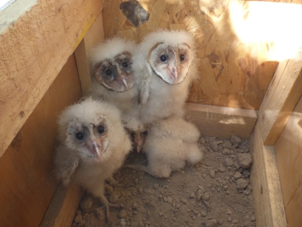 8ffb9e114f662bca1cb23420dce9752e_XL