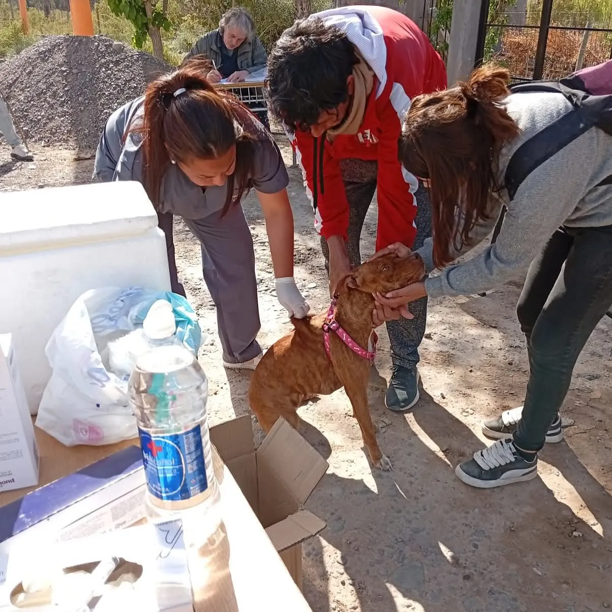 FB_IMG_1759677493056