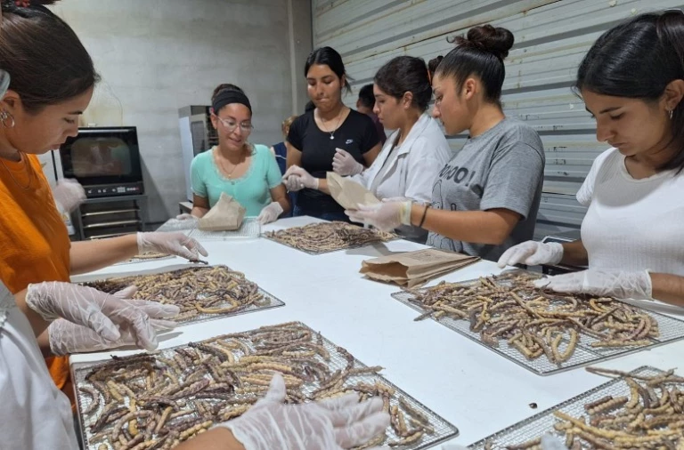 007f1ddbb7b41845e89cc245c57aeb2e_L