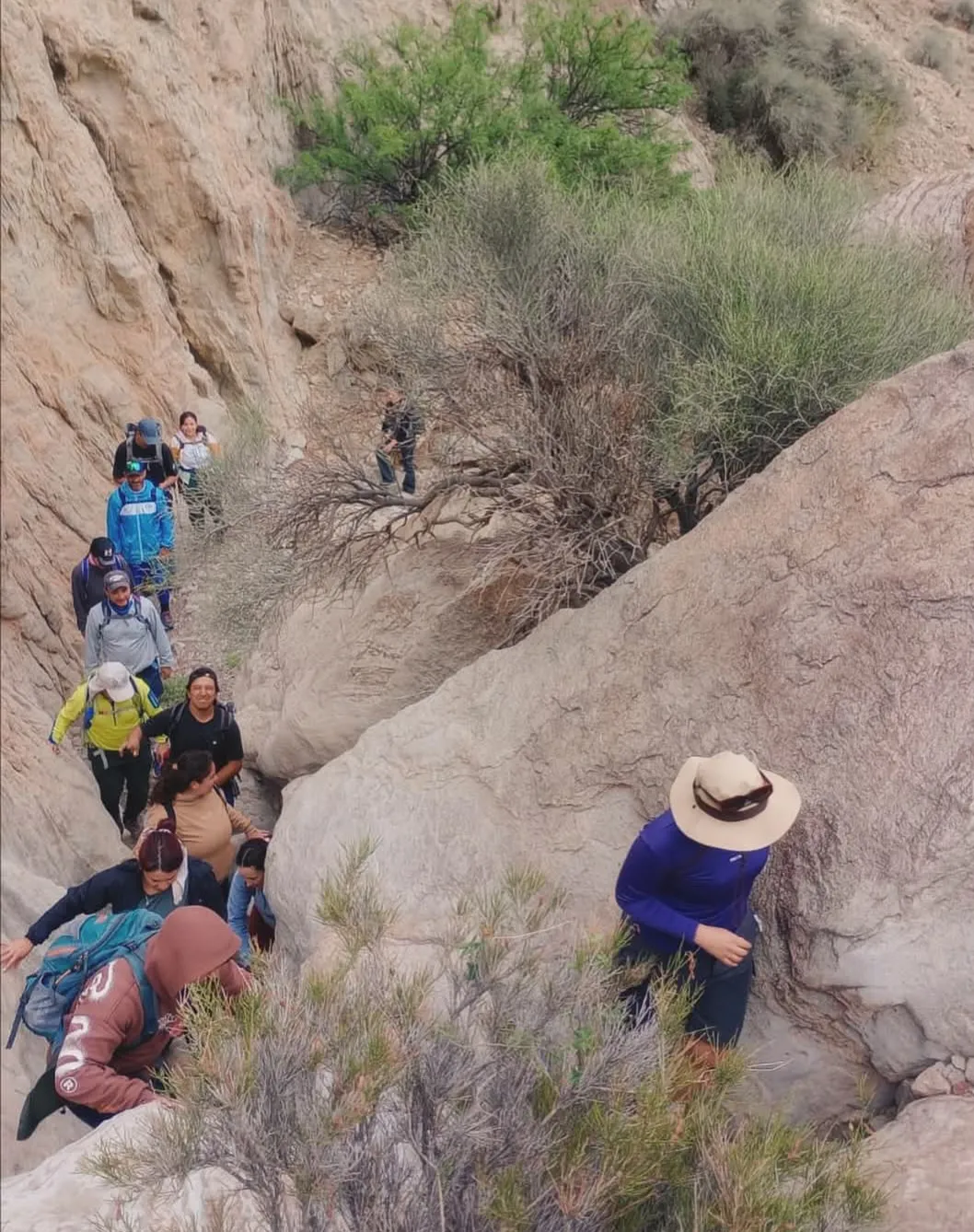 Screenshot_20251103_132458_Facebook