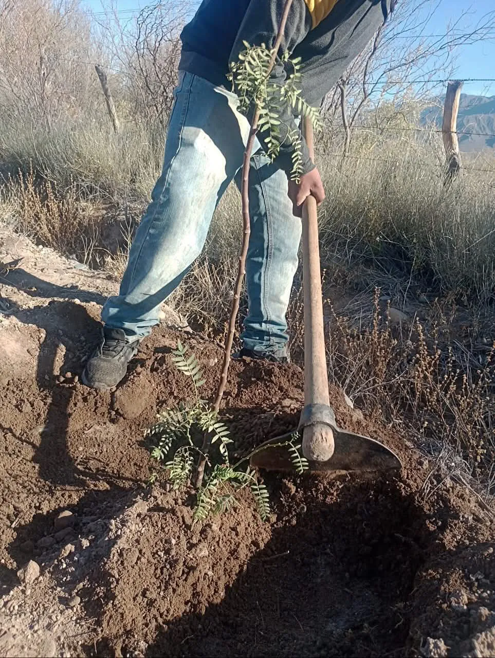 FB_IMG_1756866567068