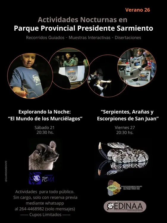 FB_IMG_1771642625995